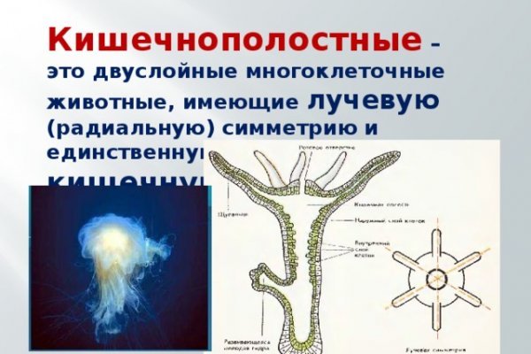 Как пополнить мегу биткоином без комиссии