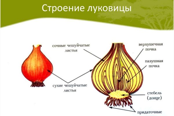 Первая покупка на меге через биткоины