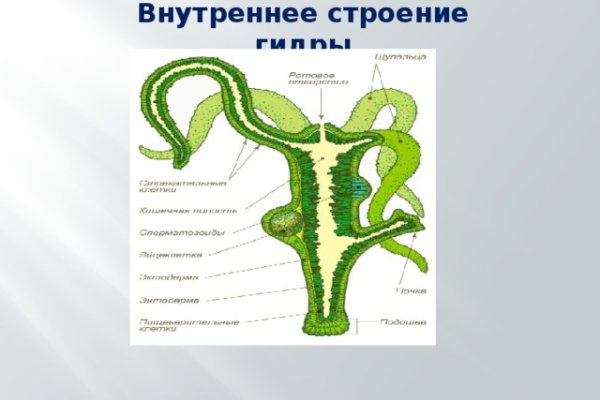 Омг маркет