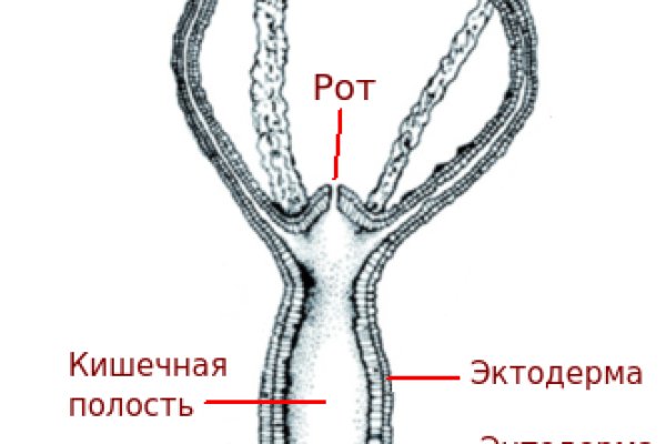 Омг сайт магазин даркнет