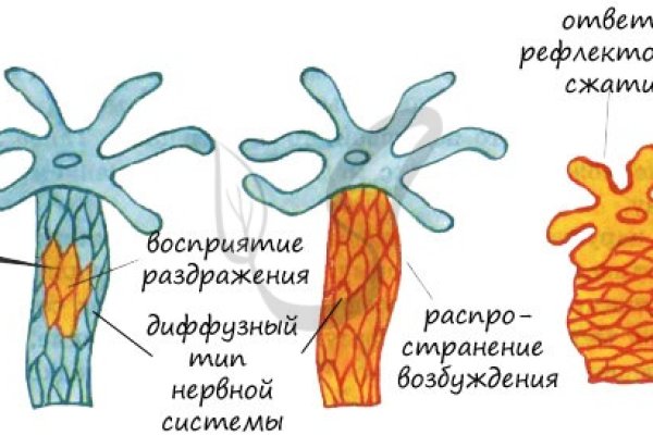 Омг сайт в тор