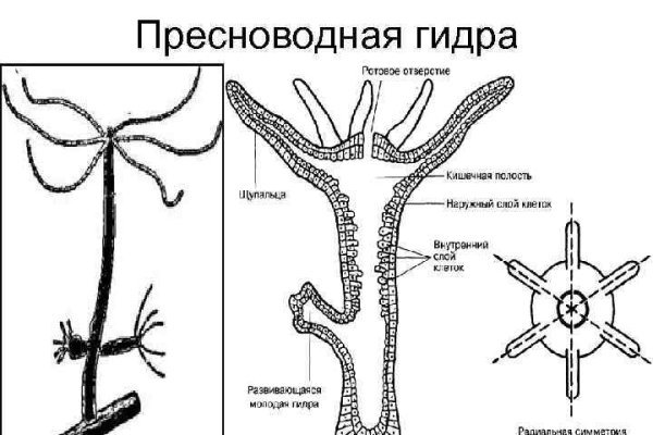 Как закинуть деньги на мегу