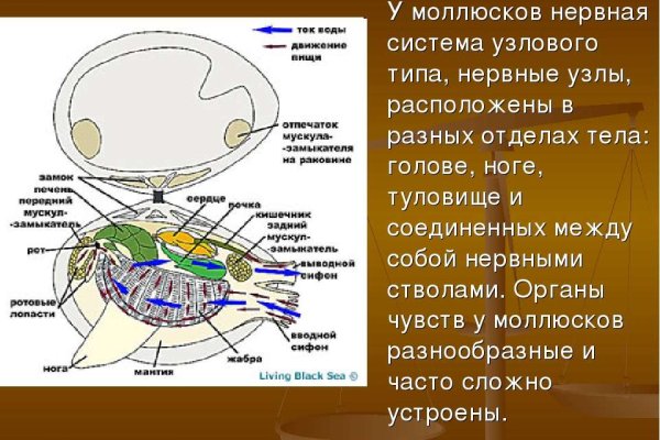 Как загрузить фото в кракен